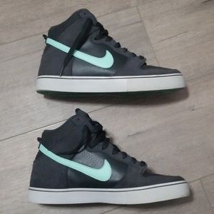 Nike Dunk High